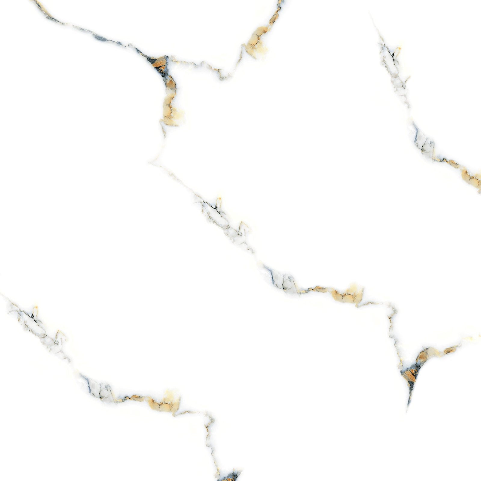 N88038-scaled