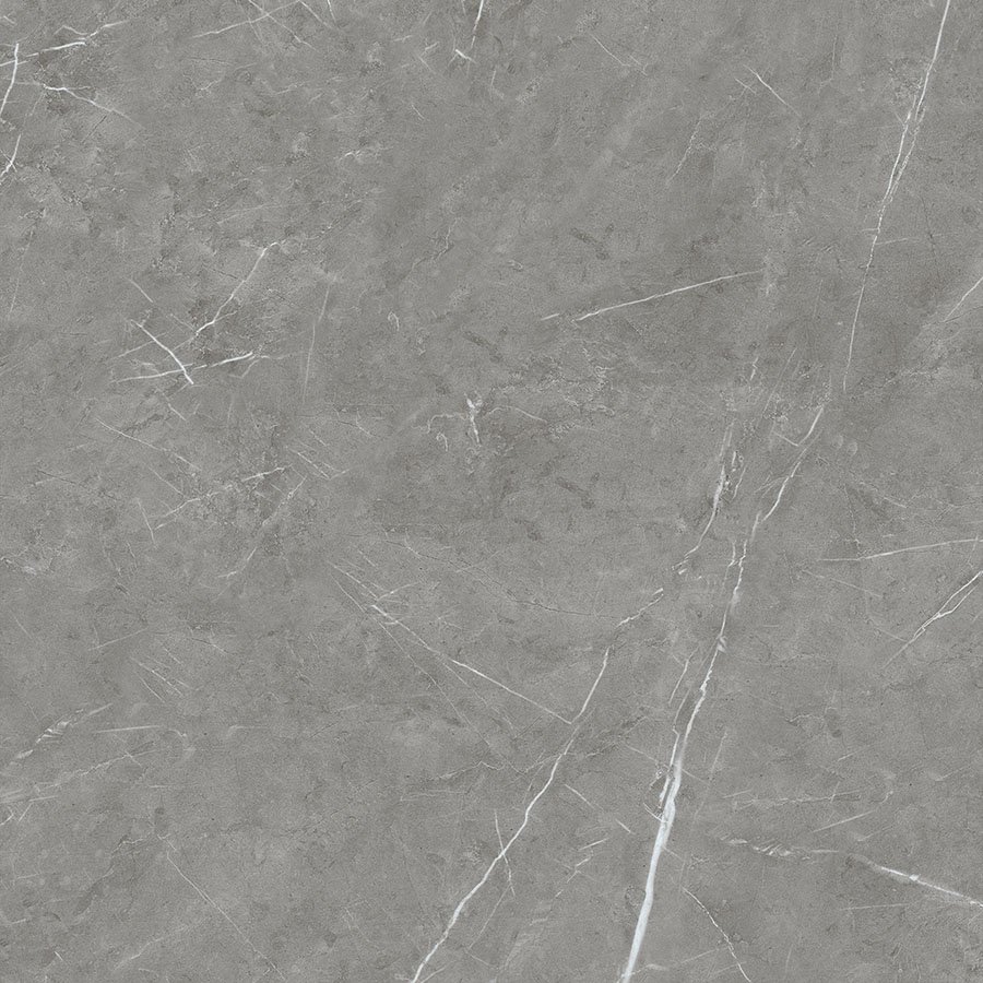 P88132R_E